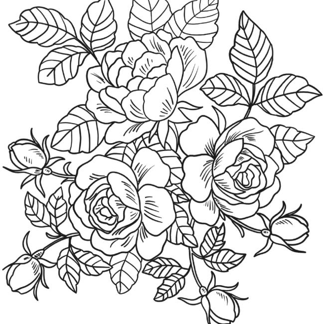 Collection of the most beautiful garden coloring pictures for kids