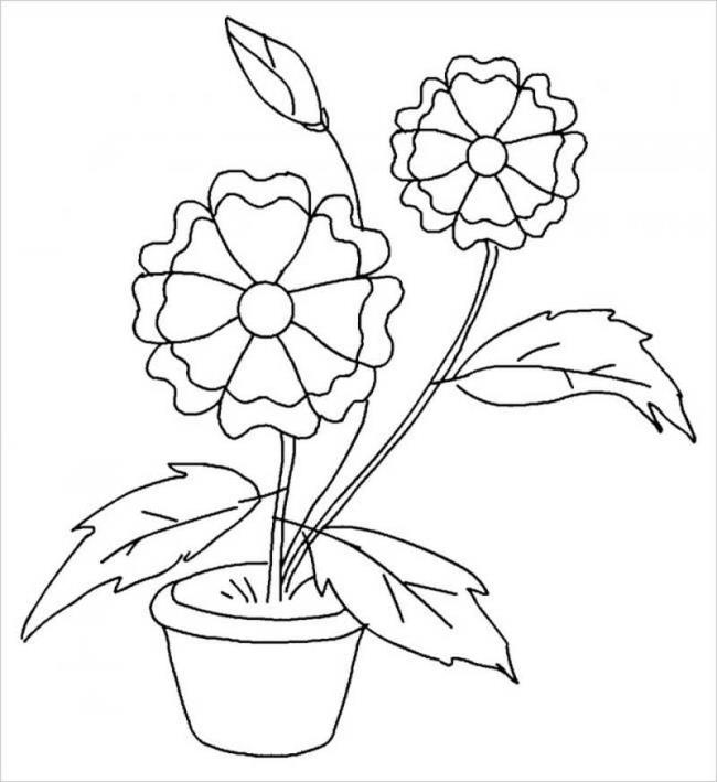 Collection of the most beautiful garden coloring pictures for kids