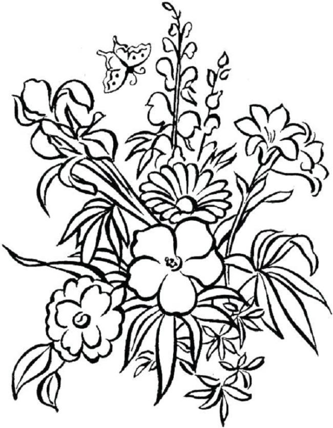 Collection of the most beautiful garden coloring pictures for kids