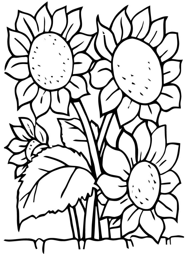 Collection of the most beautiful garden coloring pictures for kids