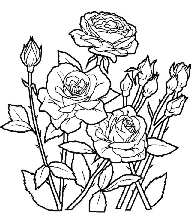 Collection of the most beautiful garden coloring pictures for kids