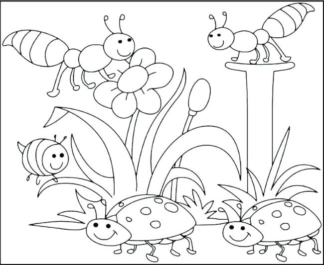 Collection of the most beautiful garden coloring pictures for kids