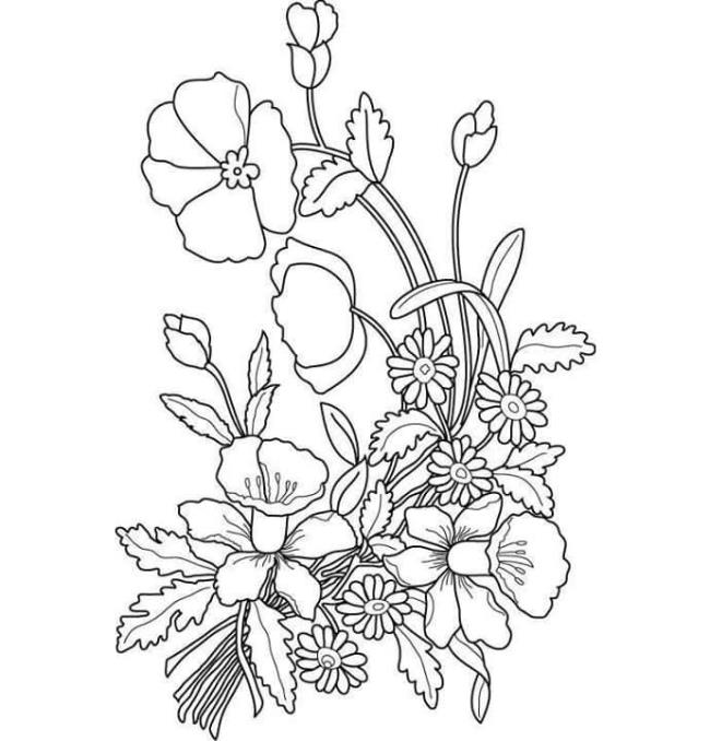 Collection of the most beautiful garden coloring pictures for kids