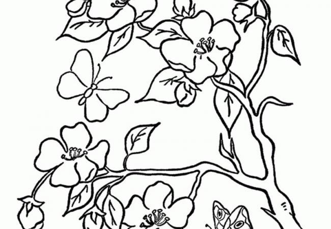 Collection of the most beautiful garden coloring pictures for kids