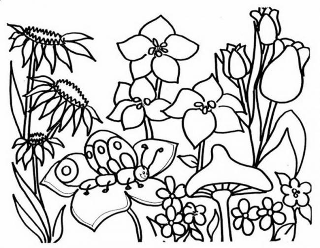 Collection of the most beautiful garden coloring pictures for kids