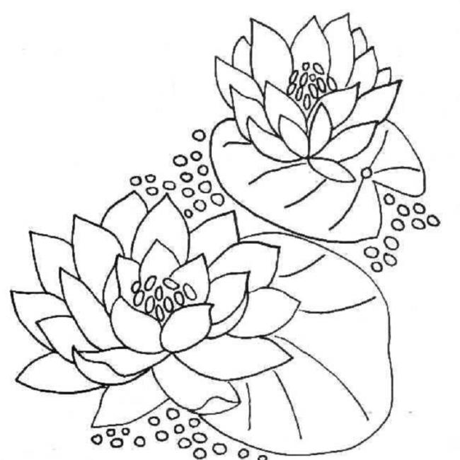 Collection of the most beautiful garden coloring pictures for kids