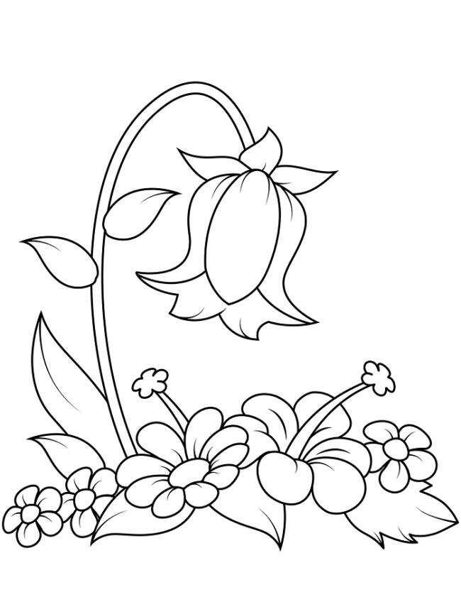 Collection of the most beautiful garden coloring pictures for kids