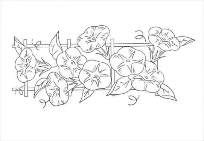 Collection of the most beautiful garden coloring pictures for kids