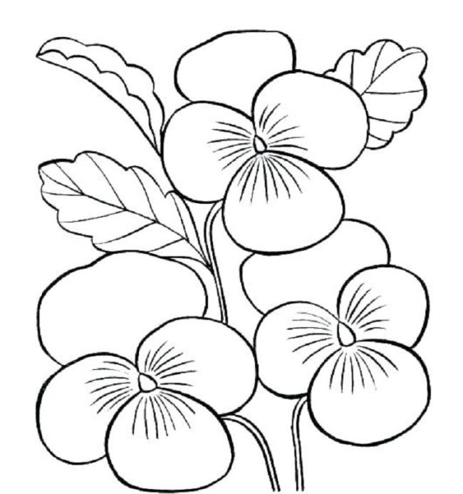 Collection of the most beautiful garden coloring pictures for kids