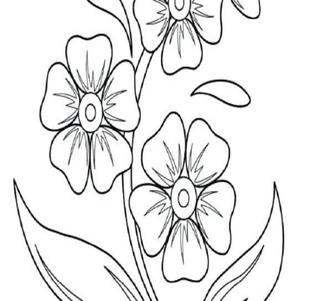 Collection of the most beautiful garden coloring pictures for kids