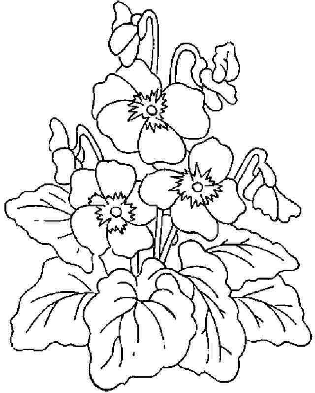 Collection of the most beautiful garden coloring pictures for kids