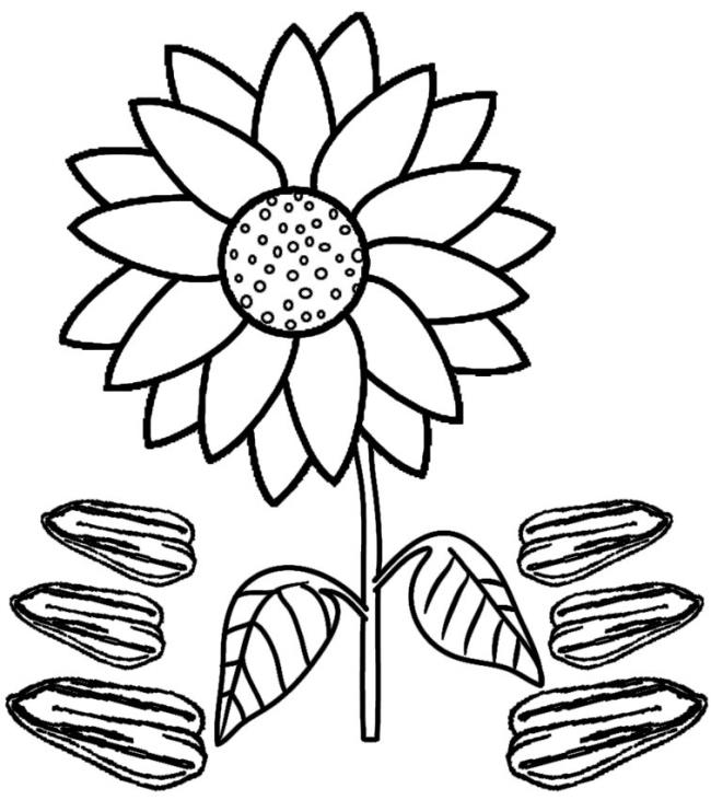 Collection of the most beautiful garden coloring pictures for kids