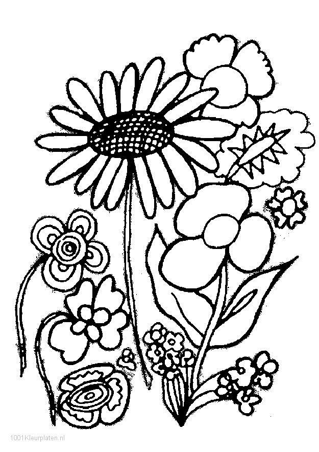Collection of the most beautiful garden coloring pictures for kids