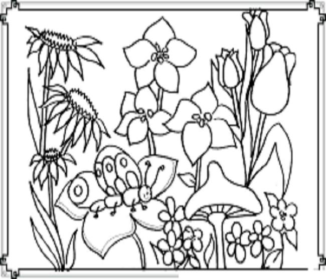 Collection of the most beautiful garden coloring pictures for kids