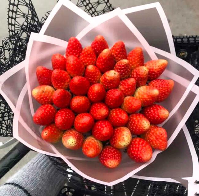 Collection du plus beau bouquet de fraises