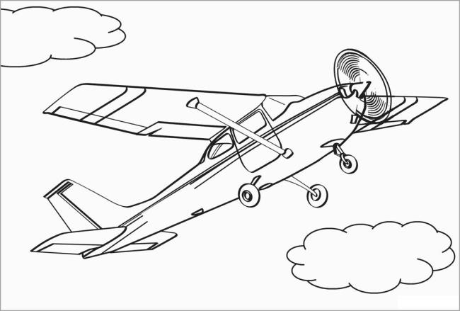 Summary of the most beautiful plane coloring pictures