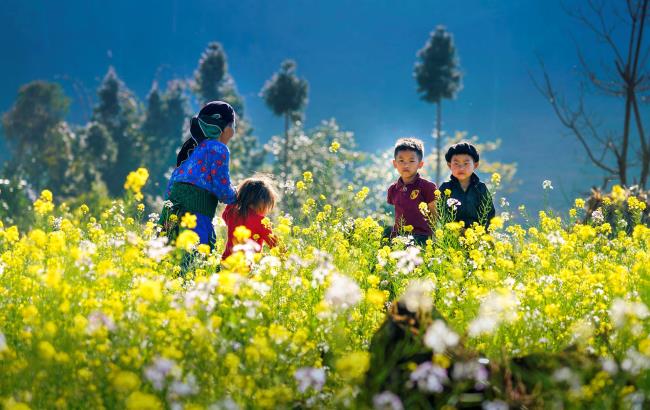 Сводка самых красивых изображений Донг Тап Вьетнам