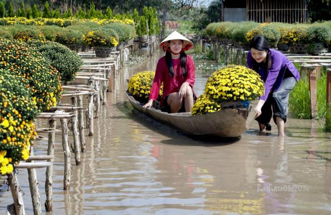 Resumo das imagens mais bonitas de Dong Thap Vietnam