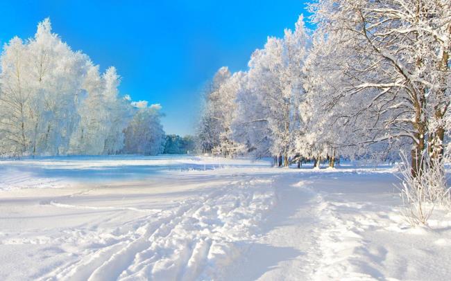 Winterlandschaftsbilder als schöne Tapete