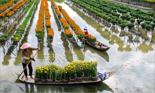 Сводка самых красивых изображений Донг Тап Вьетнам