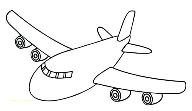 Summary of the most beautiful plane coloring pictures