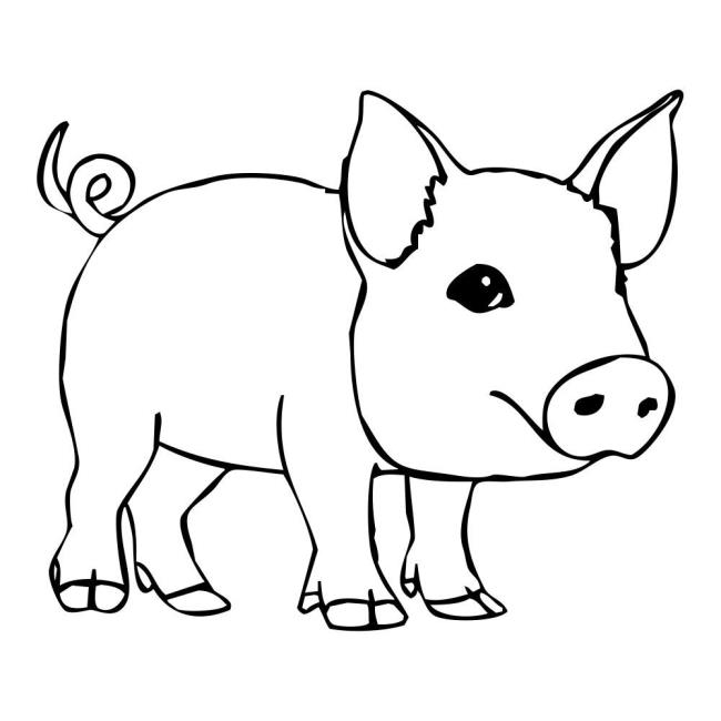 Collection of the most beautiful pig coloring pictures