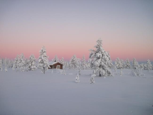 Images de paysage d'hiver comme beau fond d'écran