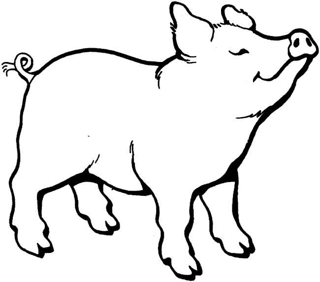 Collection of the most beautiful pig coloring pictures