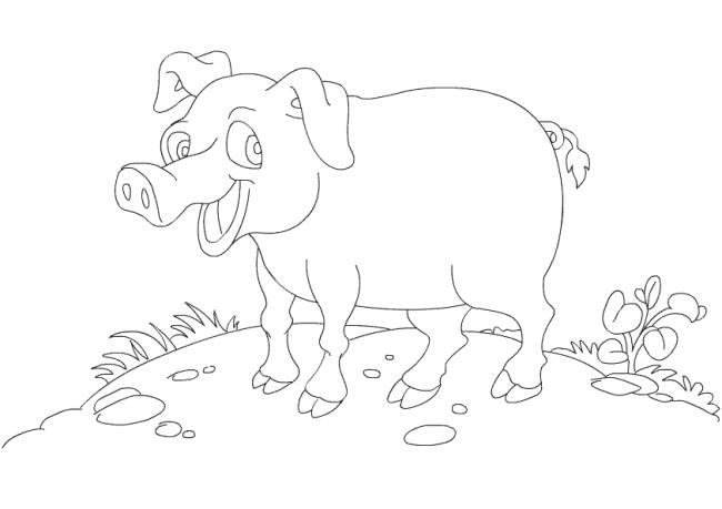 Collection of the most beautiful pig coloring pictures