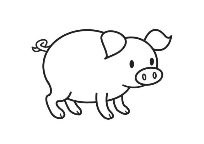 Collection of the most beautiful pig coloring pictures