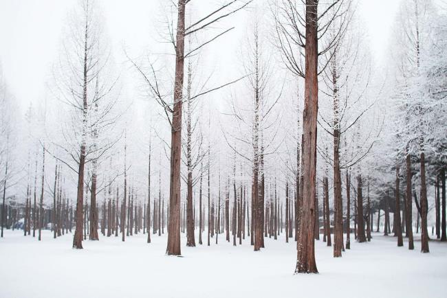 Images de paysage d'hiver comme beau fond d'écran