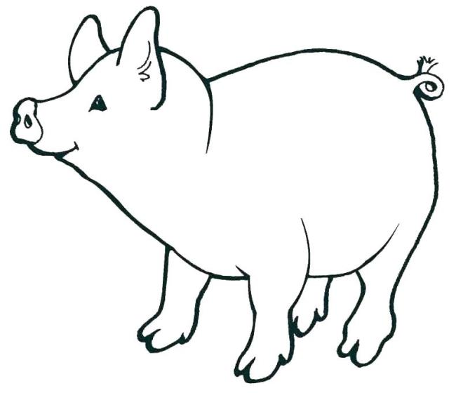 Collection of the most beautiful pig coloring pictures