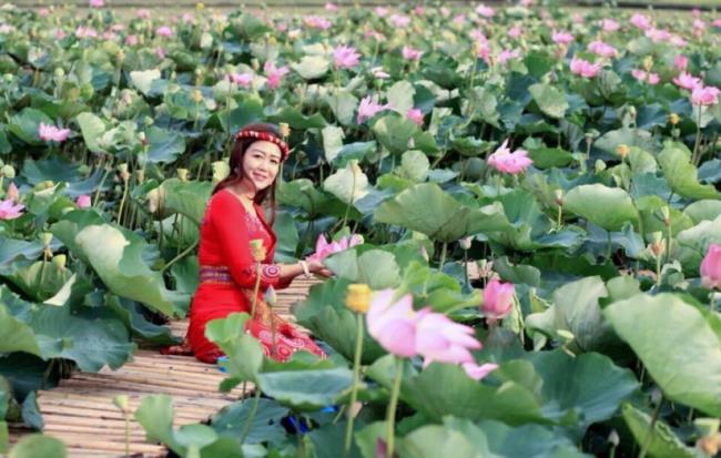 Resumo das imagens mais bonitas de Dong Thap Vietnam