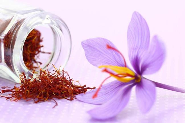 Combining images of the most beautiful saffron flowers
