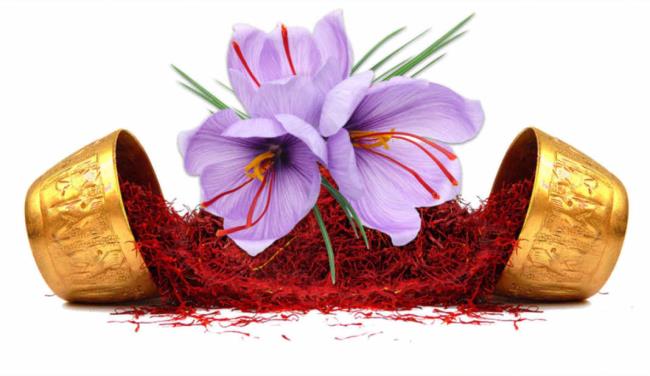 Combinando imagens das mais belas flores de açafrão