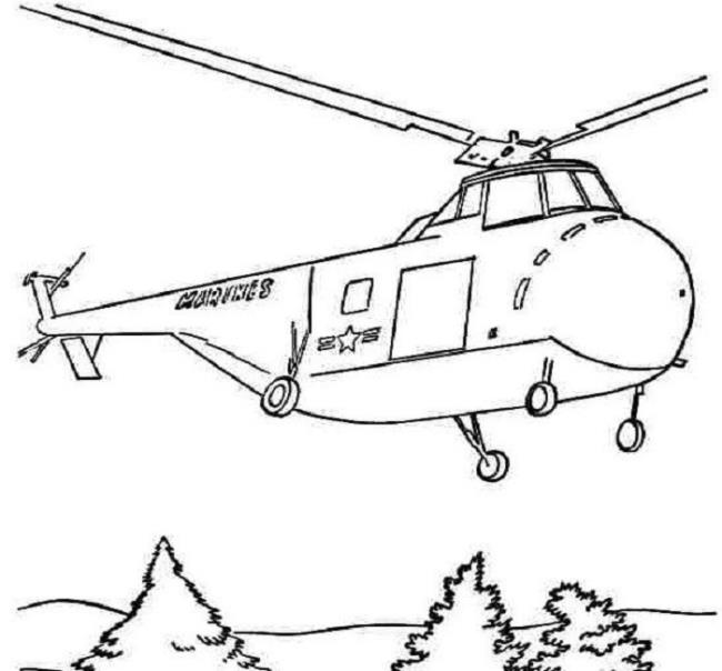 Summary of the most beautiful plane coloring pictures