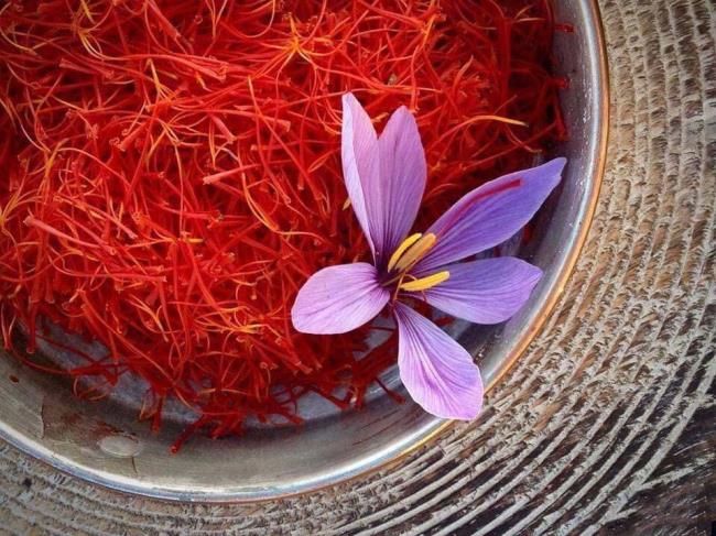 Сочетание изображений самых красивых цветов шафрана