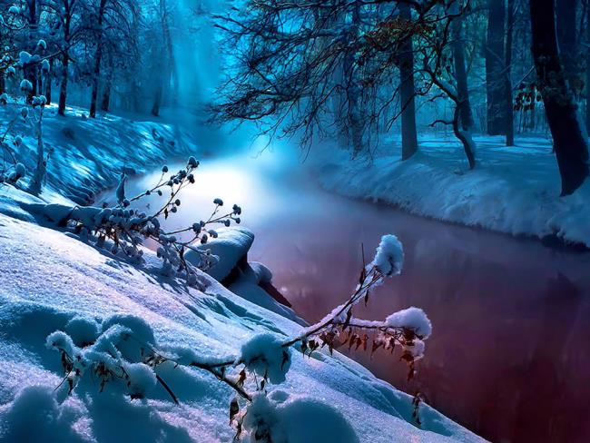 Winterlandschap beelden als een prachtig behang