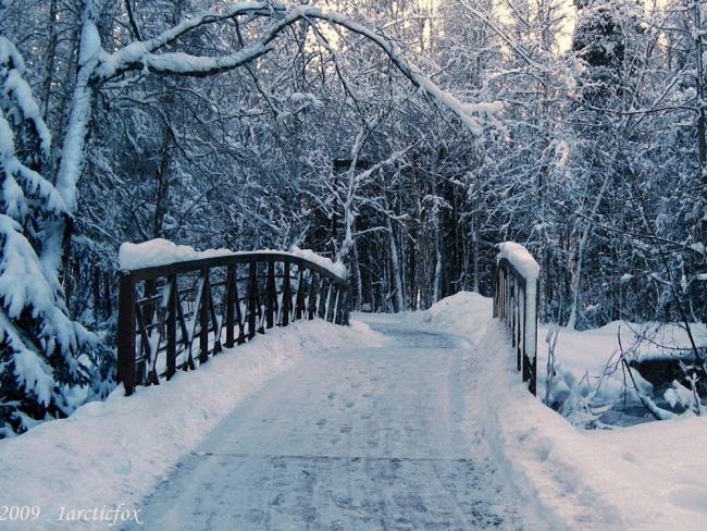 Immagini del paesaggio invernale come un bellissimo sfondo