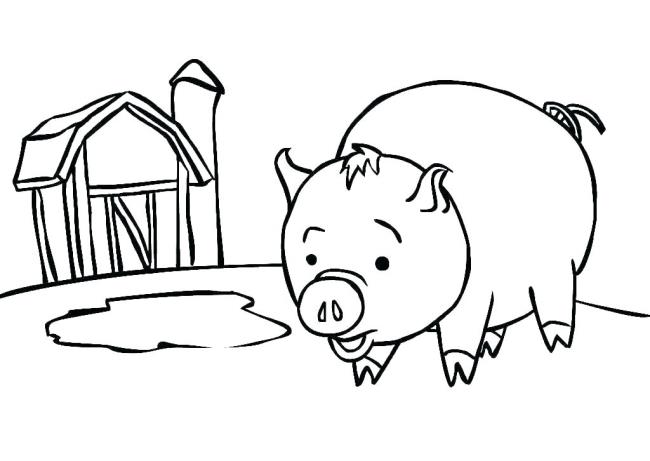 Collection of the most beautiful pig coloring pictures