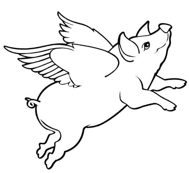 Collection of the most beautiful pig coloring pictures