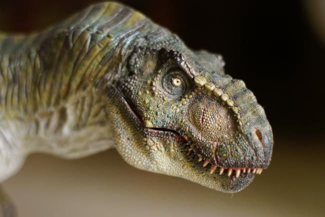 Sammlung der schönsten Dinosaurierbilder