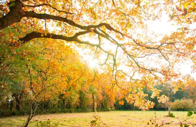مجموعة من أجمل صور الخريف الرومانسية