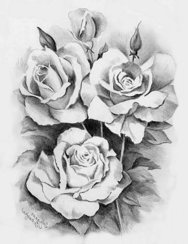 مجموعة من أجمل صور الورود المرسومة بقلم رصاص