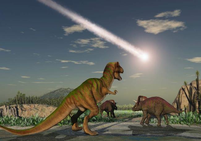 Collection des plus belles images de dinosaures