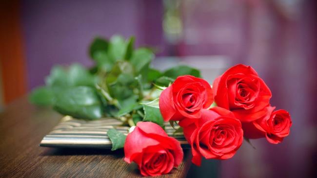 सबसे सुंदर लाल गुलाब चित्रों का संग्रह