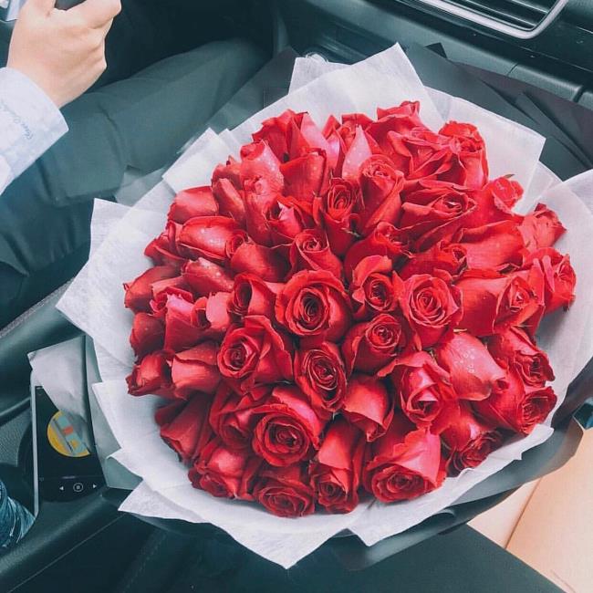 Koleksi gambar bunga mawar merah yang paling indah