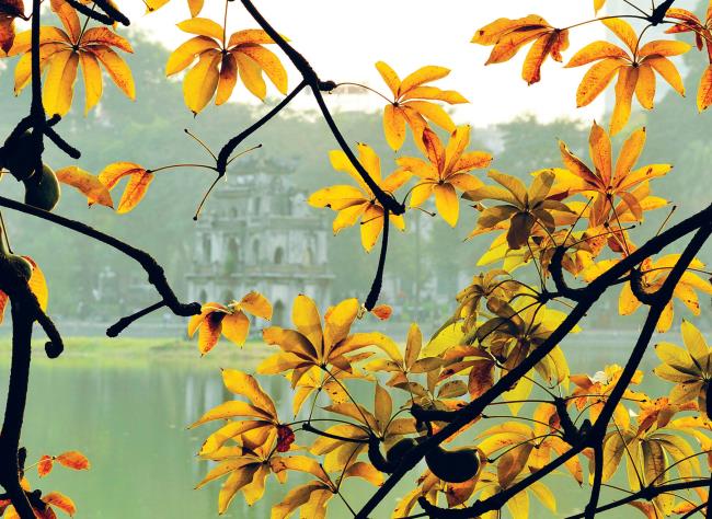 सबसे सुंदर रोमांटिक शरद ऋतु छवियों का संग्रह