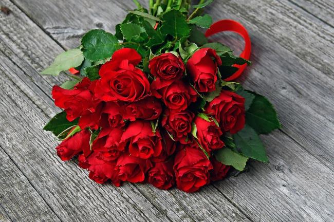 最も美しい赤いバラの写真のコレクション