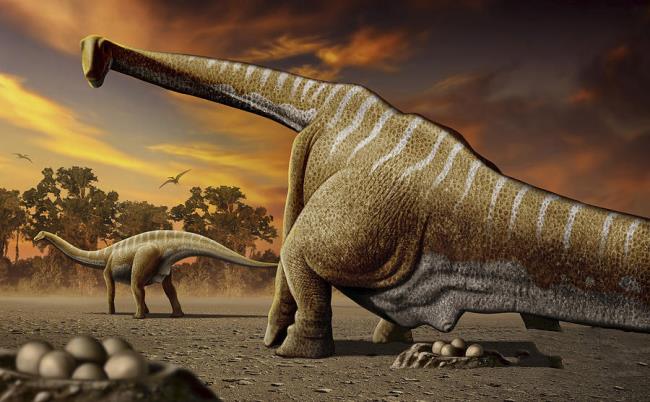 Colecție de cele mai frumoase imagini dinozaur